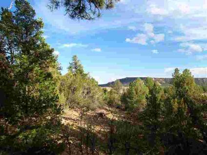 $23,000
Ramah Real Estate Land for Sale. $23,000 - Nancy A Dobbs of [url removed]
