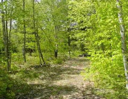 $23,900
5.73 Acres - Wooded Area + Building Area. Financing for ANY credit