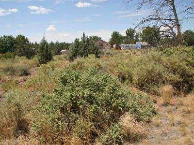 $23,900
Great Views from this Affordable 1/3 Acre Lot