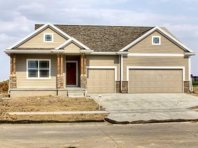 $242,616
Great WDM Location with Waukee Schools