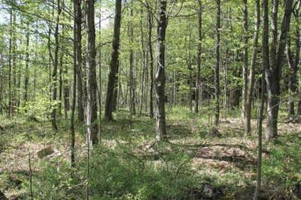 $24,900
8 Acres -- Adirondack Getaway -- Woodlands -- ATV Trails -- HUNTING
