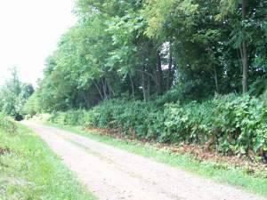 $24,900
Glade Hill, Unrestricted Lot. Very private!