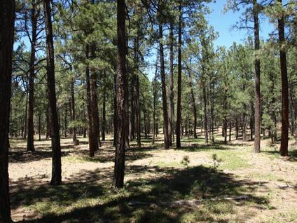 $250,000
Over 6 1/2 Acres in Black Forest! Beautiful Level Land/Lots of Trees