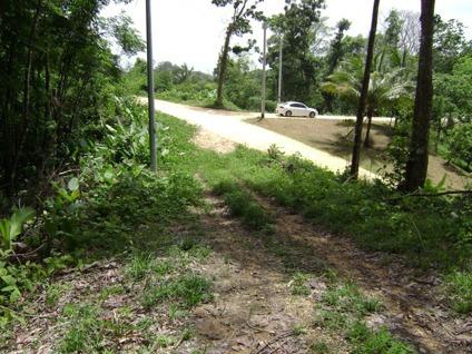 $250,000
Sangre Chiquito. 5.5 Lots