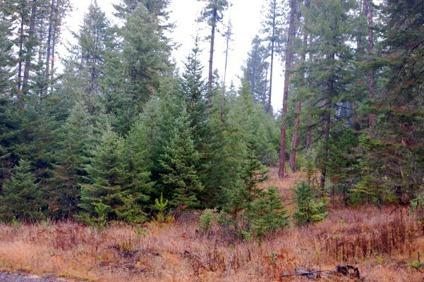 $254,000
160ac of Wooded Recreational Land Near Deary, Idaho