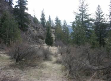 $25,000
Affordable piece of Montana,1.14 acres with a level building site