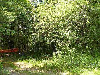 $25,000
Lewiston, QUIET COUNTRY SETTING TO BUILD YOUR NEW HOME