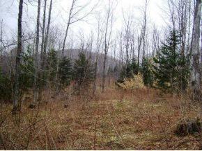 $25,000
Private, wooded lot with great building potential.Trail access(#1Gore)