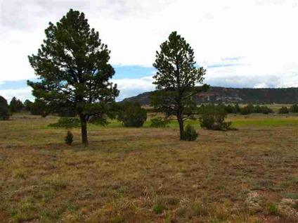 $25,000
Ramah Real Estate Land for Sale. $25,000 - Nancy A Dobbs of [url removed]