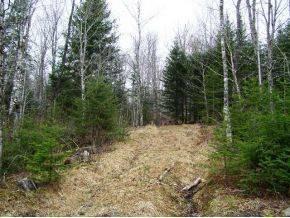 $25,000
Secluded lot in wooded valley. Direct snowmobile trail access. (#2Gore