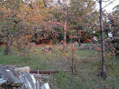 $25,000
Sunny, Gentle, Buildable Lot