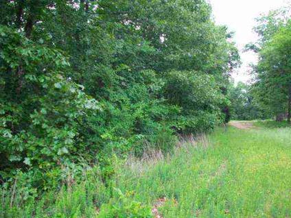 $25,000
This Bull Shoals Lake Subdivision lot offers seasonal lake view with gentle