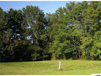 $25,500
Harmony, GREAT ACREAGE CLEARED IN FRONT WITH LOTS OF TREES