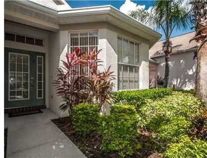 $262,000
Tampa 3BR, Who doesn't love a home with lots of NATURAL