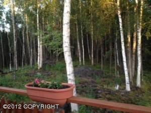 $269,000
Wasilla Four BR Three BA, Open spacious floor plan with great