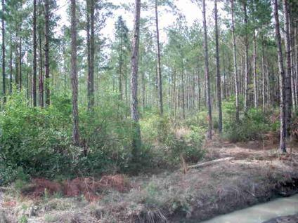 $26,500
Ludowici, Just minutes from Ft. Stewart. Many lots to choose