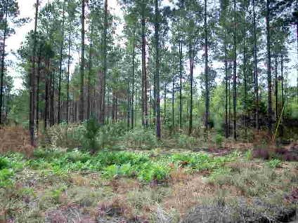 $26,500
Ludowici, Just minutes from Ft. Stewart. Many lots to choose