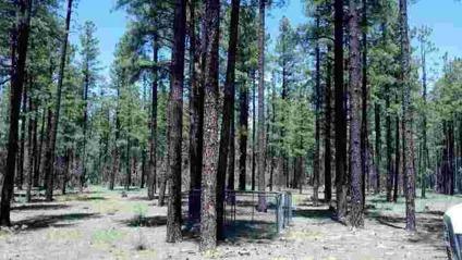 $270,000
Pinetop, Sewer is 45 ft. from NE corner. Water is off NW