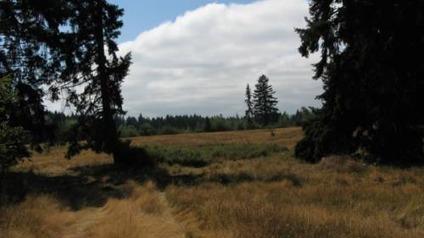 $275,000
20 Acres to Build Your Dream Home in Yelm WA!
