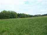$275,000
Lots of pasture, backs up to conservation land, year round spring, ponds, well