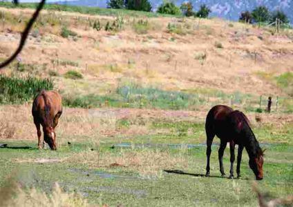 $277,000
Prineville 3BR 1BA, 25+/-Acre fenced horse/cattle property