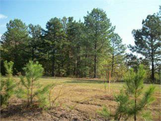 $27,000
4.900000 acres of land for sale in Roanoke, Alabama, United States