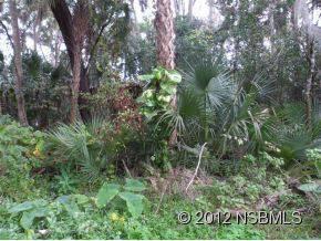 $27,000
Edgewater, Tropical Palms & vines reflect the natural