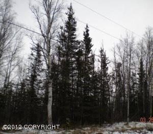 $27,000
Wasilla, Nice wooded building lot with frontage on