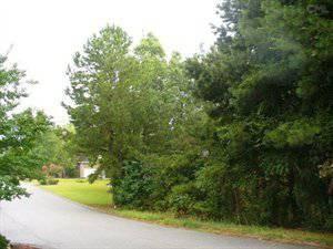 $27,900
Columbia, Nicely wooded building lot in well established