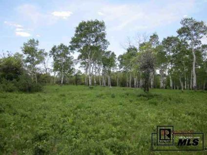$285,000
$285,000 acreage, Steamboat Springs, CO