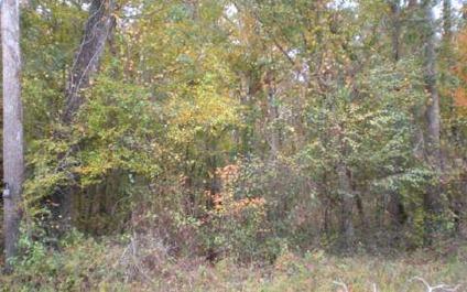 $28,000
Live Oak, River Lot on the Suwannee River. Close to Charles