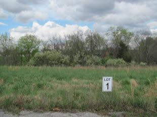 $28,500
Makanda, Fantastic, 1+ acre building site in Unity Point