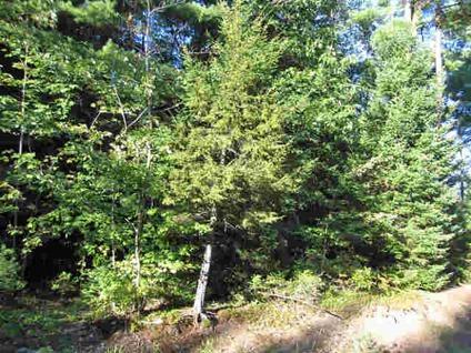 $28,500
Stratford, Beautiful wooded lot on year round road with