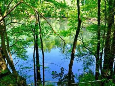 $295,000
Scenic Saluda River/Desirable Corley Mill Road Area