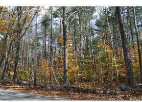 $299,000
Antrim, 69 acre tree farm, abutting conservation to Campbell