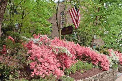 $299,900
Bronxville 1BR 1BA, GREAT INVESTMENT OPPORTUNITY!