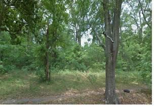 $29,000
Irregular shaped lot. Buyer to verify all information. Good deal on this lot.