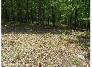 $29,000
Old Fields, BEAUTIFUL MOUNTAIN TOP LOT WITH LIMITLESS