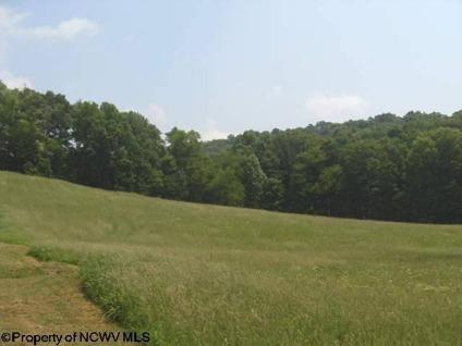 $29,000
Residential Land - French Creek, WV