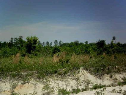 $29,500
Ludowici, BEAUTIFUL HIGH AND DRY HOMESITES LOCATED JUST
