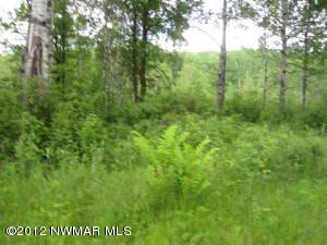 $29,700
Lake George, 6 + Ac wooded building lots. Trees and views.