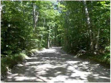$29,900
15+ Acres For Sale on Beaver Island! Seller Finances ANY credit/income