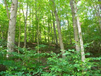$29,900
25 Acres Bordered on 2 Sides by State Forest -- Woods -- Stream
