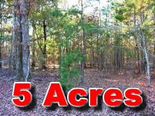$29,900
5 Acres For Sale with Owner Financing - $495 Down Payment