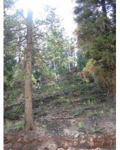 $29,900
.66 Acre Meadow View Heights Lot