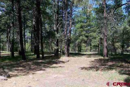 $29,900
Pagosa Springs Real Estate Land for Sale. $29,900 - Mike Heraty of