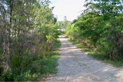 $2,100
27 acres for sale in Emanuel County