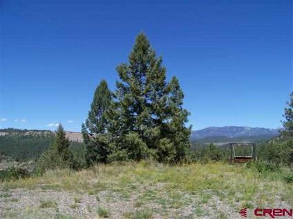 $300,000
Pagosa Springs Real Estate Land for Sale. $300,000 - Mike Heraty of