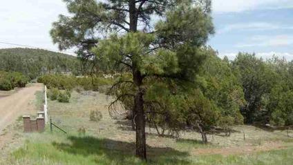 $300,000
Pinedale, Potential for Investor, Elk Springs Subdivision