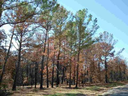 $30,000
Bastrop, 1.845 wooded acres, corner lot on McAllister and
